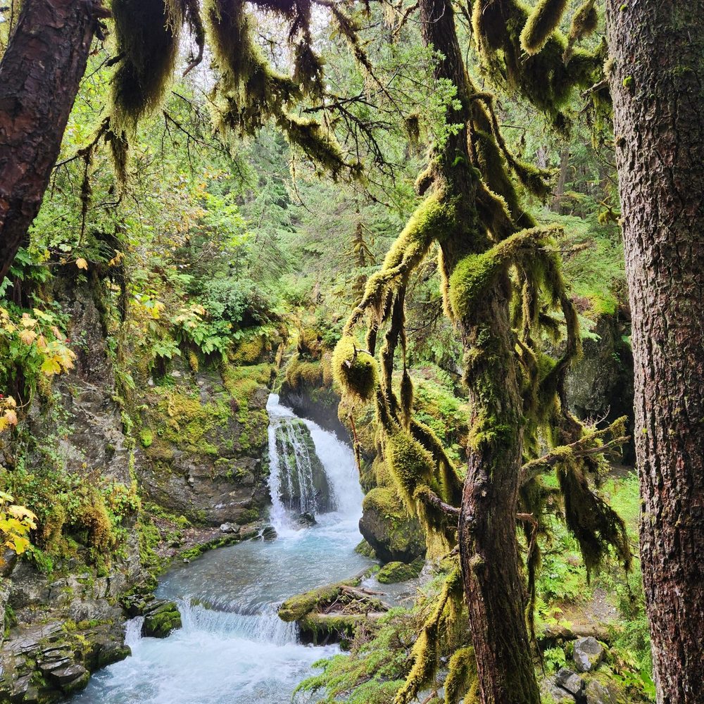 Virgin Creek Falls - Hiking Near Me - Anchorage, Alaska Virgin Creek Falls - Hiking Near Me - Anchorage, Alaska