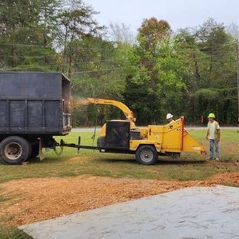 Affordable Tree Service - Tree Services Near Me - Tuscumbia, Alabama