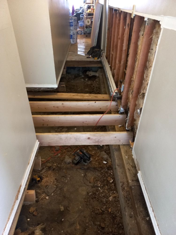 Slide of Hector Plumber