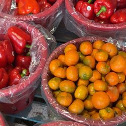 Downsview Park Merchants Market
