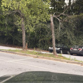 CVS Pharmacy - Dead tree, unkempt parking area. - Drugstores Near Me - Alpharetta, Georgia