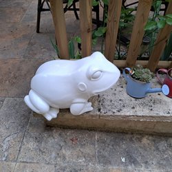 le crédence - La grenouille