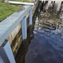 Photo of Wimbish Marine