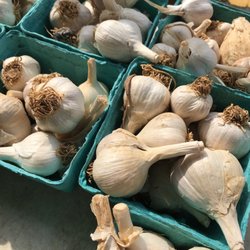 Garlic $2.50