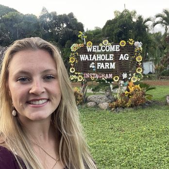 Waiahole Farm - Sign - Fruits & Veggies Near Me - Kaneohe, Hawaii Waiahole Farm - Sign - Fruits & Veggies Near Me - Kaneohe, Hawaii