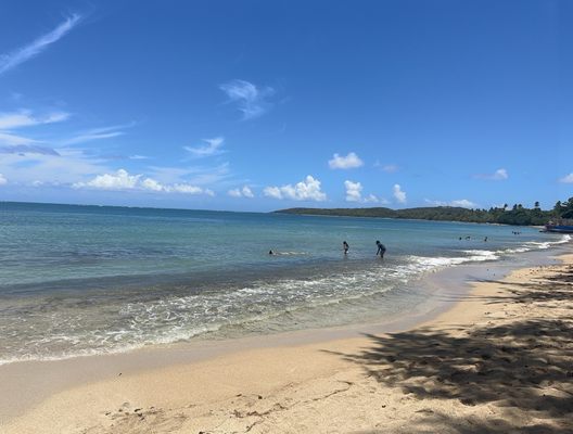 Seven Seas Beach by null