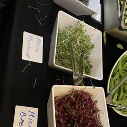 Hippocrates Health Institute - More sprouts