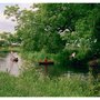 Photo of Grantchester Meadows