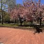 Walter C Pierce Community Park