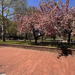 Walter C Pierce Community Park