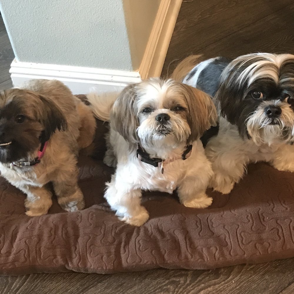 The kids The kids