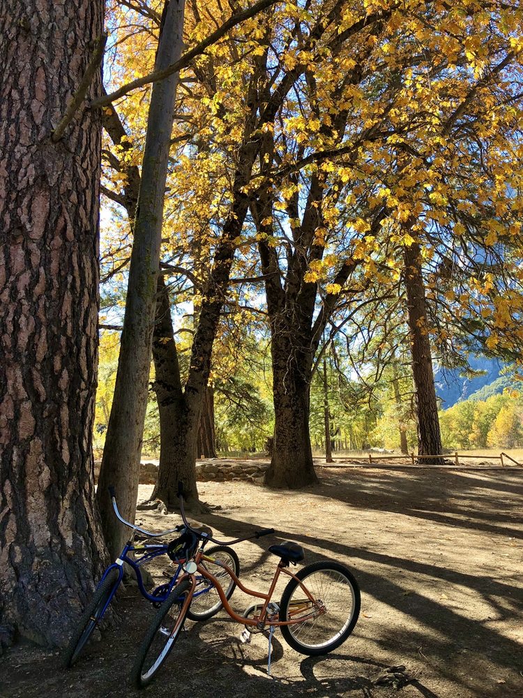 YOSEMITE LODGE GIFT SHOP Updated October 2024 23 Photos & 11