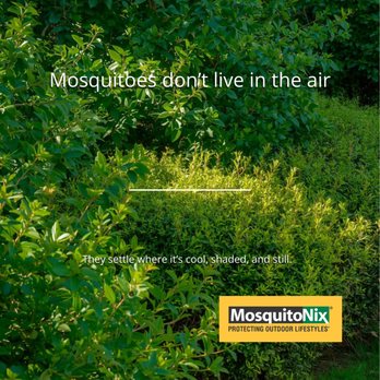 MosquitoNix - Pest Control Near Me - Raleigh, North Carolina MosquitoNix - Pest Control Near Me - Raleigh, North Carolina