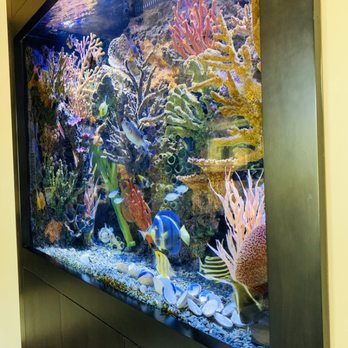 Aquatic Works - Side view of a in the wall 500 gallon glass Aquarium all computer controlled - Aquarium Services Near Me - Northbrook, Illinois