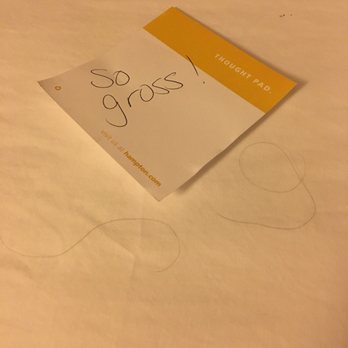 Hampton Inn Springfield-Southeast - Pulled back the comforter and hair on the bed, thank goodness I had two beds in my room! - Hotels Near Me - Springfield, Missouri