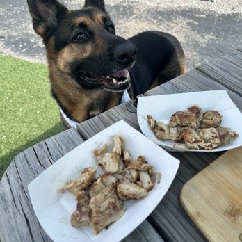 Pups and Pints - Chicken bites for pups - Dog Parks Near Me - Virginia Beach, Virginia Pups and Pints - Chicken bites for pups - Dog Parks Near Me - Virginia Beach, Virginia