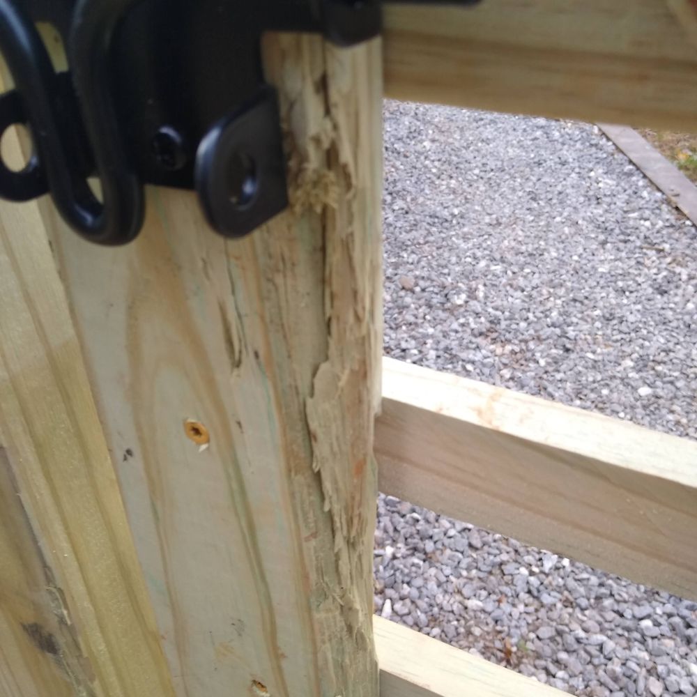 Babcat Fence and Deck - Decks & Railing Near Me Babcat Fence and Deck - Decks & Railing Near Me