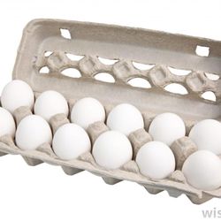 Food Lion - If they put more items than this on the belt, then they don't belong in the express line. have some balls and tell them to go to the right 1