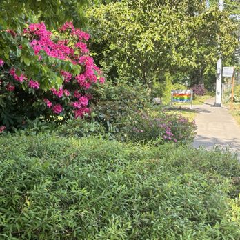 Roanoke Park - Street View - Parks Near Me - Seattle, Washington Roanoke Park - Street View - Parks Near Me - Seattle, Washington