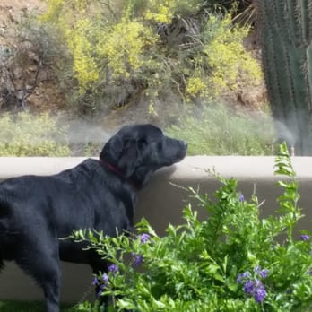 Pro Misting System Services - Misting System Services Near Me - Phoenix, Arizona Pro Misting System Services - Misting System Services Near Me - Phoenix, Arizona