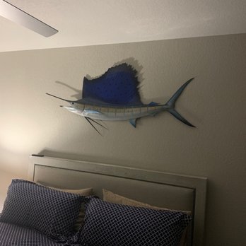 Mount This Fish Company - 74 inch sailfish - Taxidermy Near Me - Rockledge, Florida