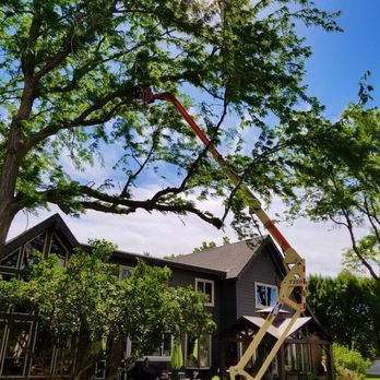 Meridian Tree Service - Tree Services Near Me Meridian Tree Service - Tree Services Near Me
