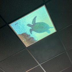 Off The Hook Raw Bar and Grill - Ceiling light covers
