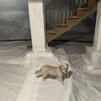 Atlantic - Air Duct Cleaning Near Me - Fuquay Varina, North Carolina