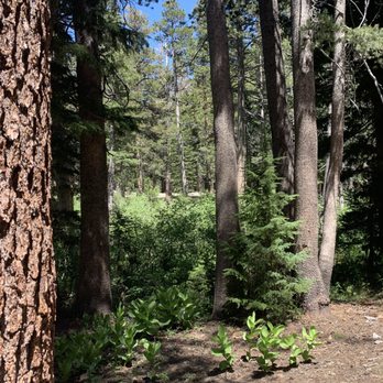 Mammoth Lakes Pack Outfit - Tours Near Me - Mammoth Lakes, California Mammoth Lakes Pack Outfit - Tours Near Me - Mammoth Lakes, California