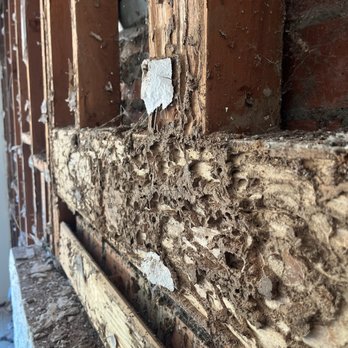 No Nonsense Termite & Pest - Subs damage - Pest Control Near Me - Orange, California No Nonsense Termite & Pest - Subs damage - Pest Control Near Me - Orange, California