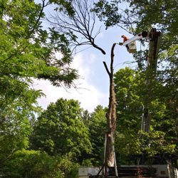 CPE Tree Service - undefined