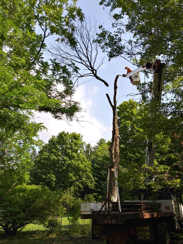 CPE TREE SERVICE Updated August 2024 67 Dunsbach Rd, Clifton Park