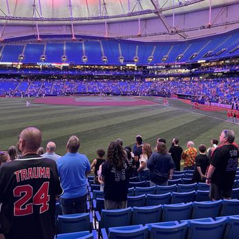 Tampa Bay Rays - Field - Professional Sports Teams Near Me - St. Petersburg, Florida Tampa Bay Rays - Field - Professional Sports Teams Near Me - St. Petersburg, Florida