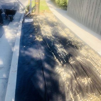 Solis Tree Service - Tree Services Near Me Solis Tree Service - Tree Services Near Me