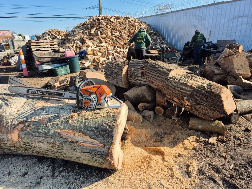 Woodsman Services - tree service in Royal Oak, MI