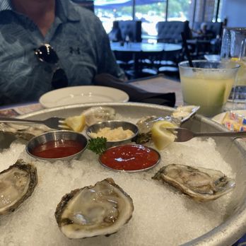 Anaya’s Seafood Scratch Kitchen - 1/2 Blue point oysters - Seafood Near Me - Plano, Texas