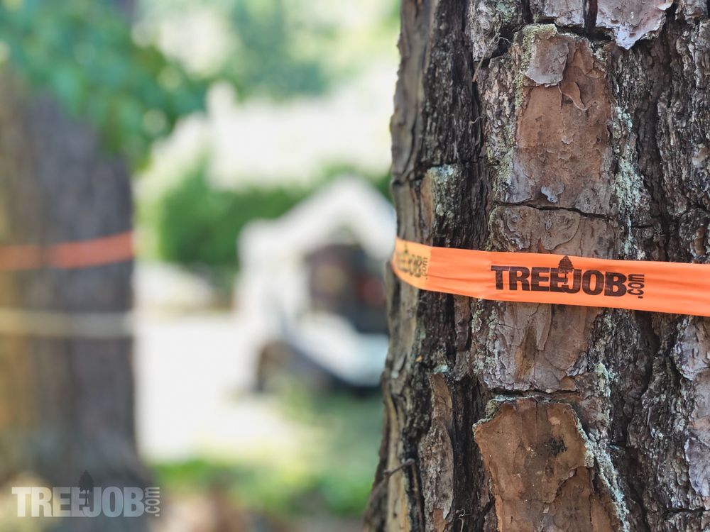 TreeJob - tree service in Marietta, GA