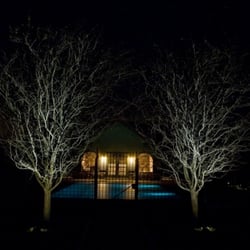 The Gardeners - Landscape lighting