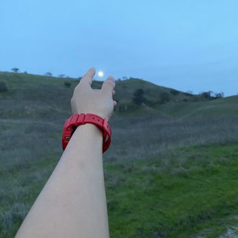 Shell Ridge Open Space - Hiking Near Me - Walnut Creek, California