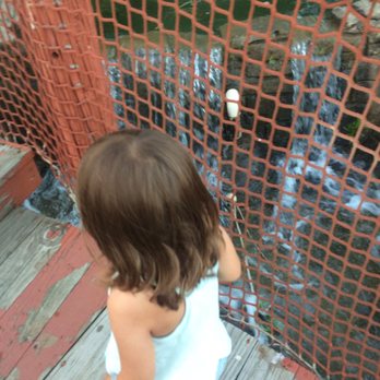 Odyssey Fun World - Amusement Parks Near Me - Tinley Park, Illinois