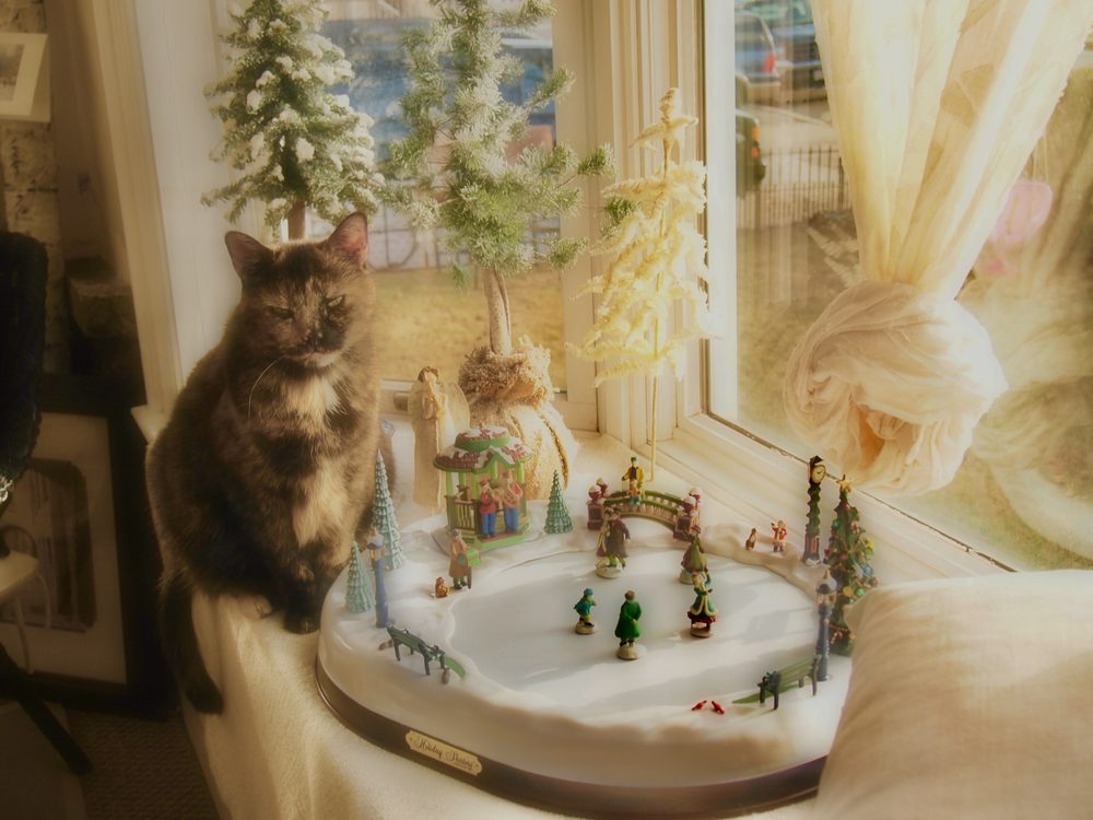 THE KINDNESS ANIMAL HOSPITAL Updated July 2024 12 Reviews 5 Water