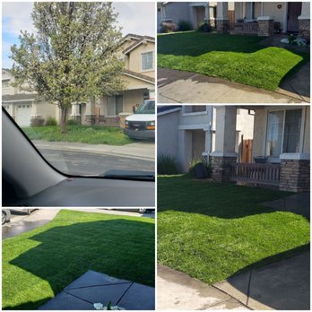 MBM Landscape services - Tree removal and sod installation... - Tree Services Near Me