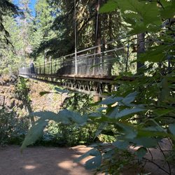 Drift Creek Fall And Bridge - Drift Creek suspension Bridge