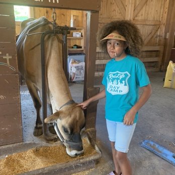 Real Life Daycamp and Farm - Sassy the cow - Child Care & Day Care Near Me - Canton, Michigan Real Life Daycamp and Farm - Sassy the cow - Child Care & Day Care Near Me - Canton, Michigan