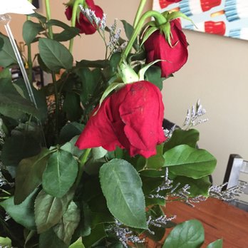 Alex Waldbart Florist - Photos of dying flowers. Water recently changed. - Florists Near Me - St. Louis, Missouri Alex Waldbart Florist - Photos of dying flowers. Water recently changed. - Florists Near Me - St. Louis, Missouri