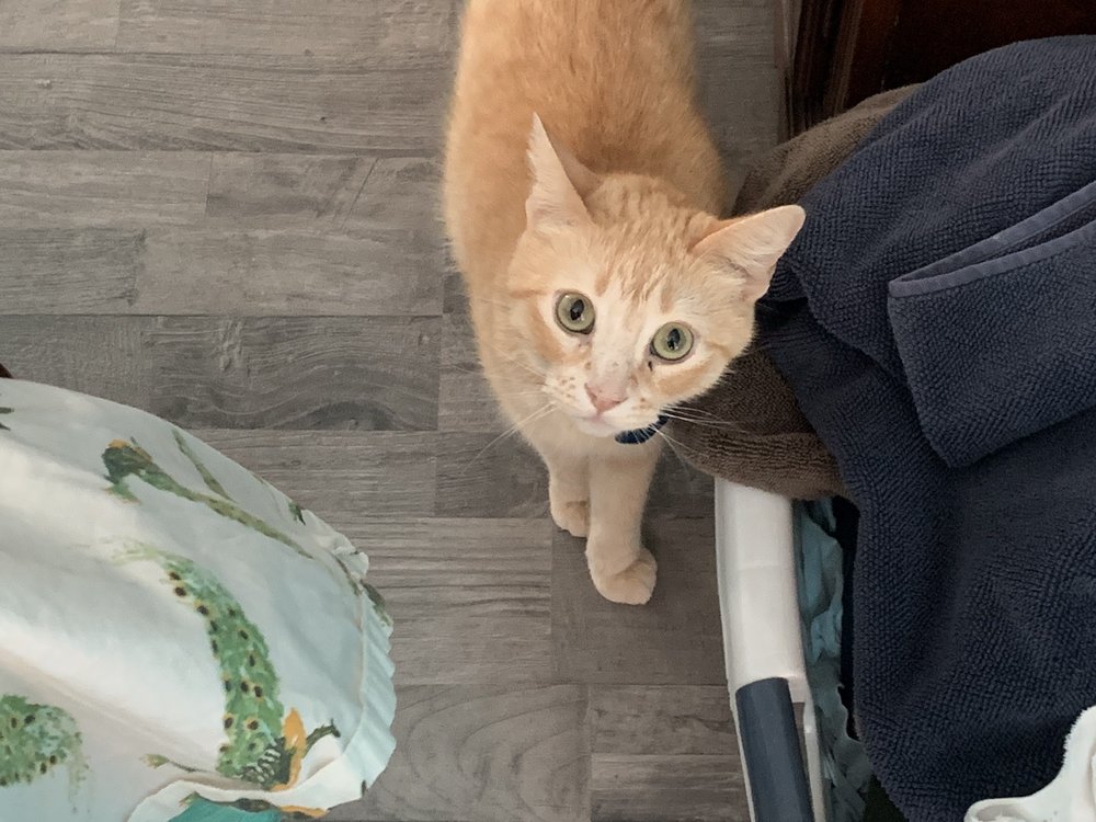 Jerry's Brake & Tire Pros, Corona Roadtrippers