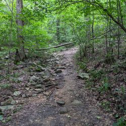 Tennessee/Alabama/Georgia Stateline Marker - Looking up the pathway to the marker