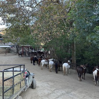 Circle Bar B Stables - Horseback Riding Near Me - Santa Barbara, California