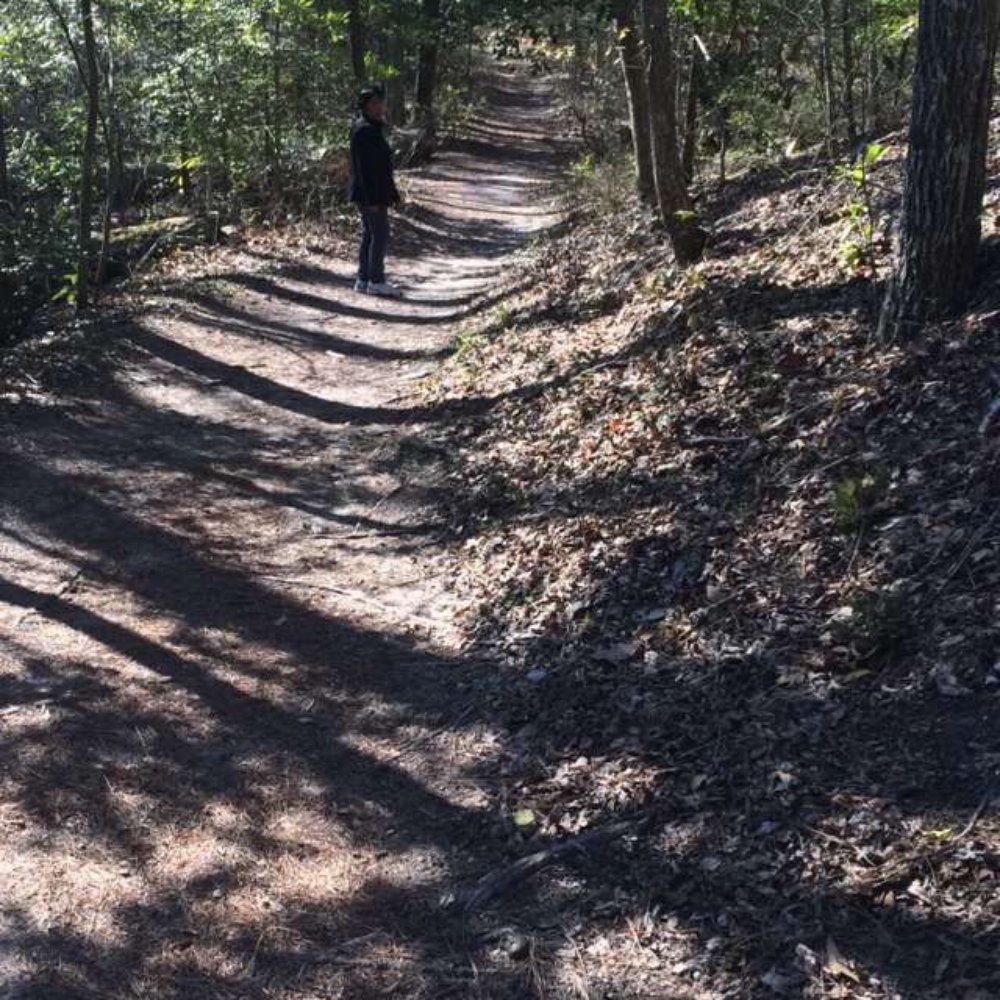 First Landing State Park - One of the beautiful trails - Parks Near Me - Virginia Beach, Virginia