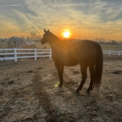 Hidden Valley Paint & Pinto Ranch - Beautiful view.